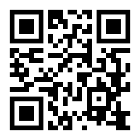 国际知识产权代理服务模板