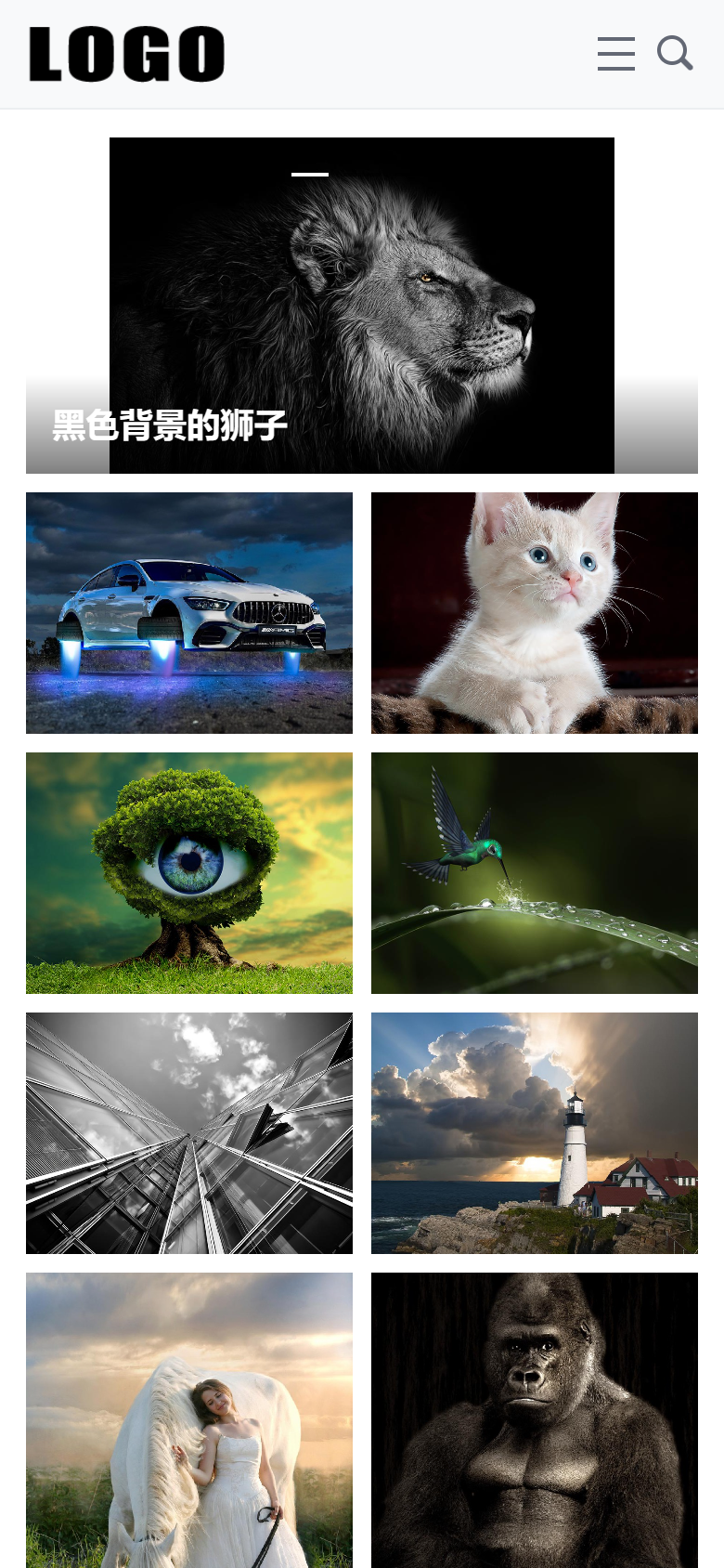 白色大图展示摄影作品通用